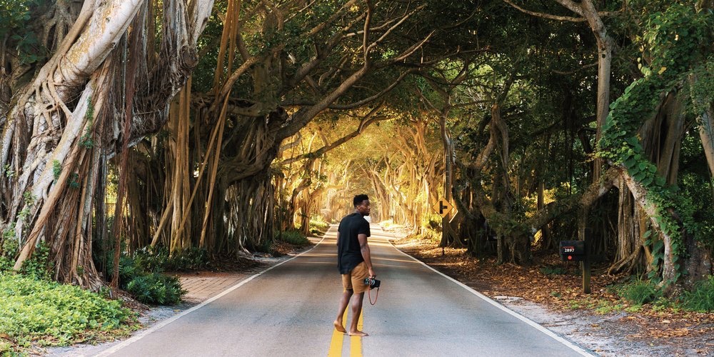 A skateboarder under a tunnel of trees